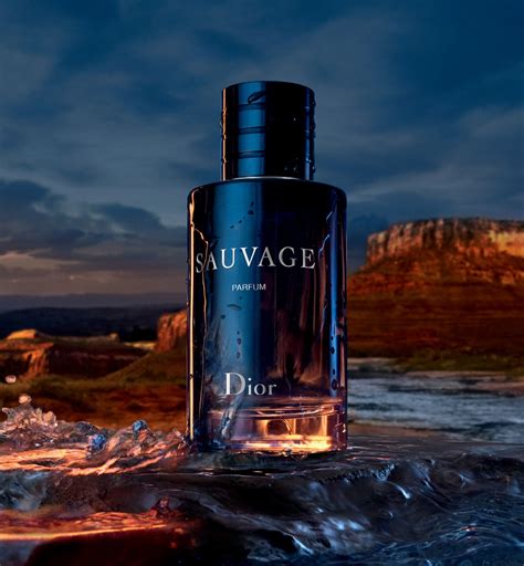 3 seconds dior savauge|sauvage perfume dior.